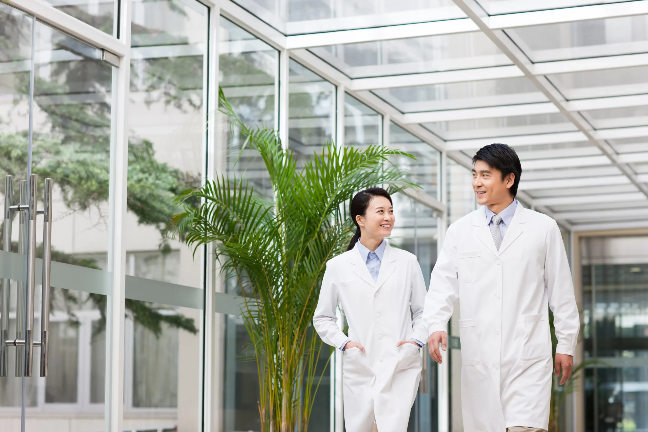 doctors-talking-and-walking-2024-10-11-16-42-24-utc